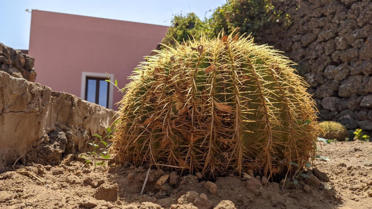 Campobello Horizon Pantelleria Bed & Breakfast エクステリア 写真