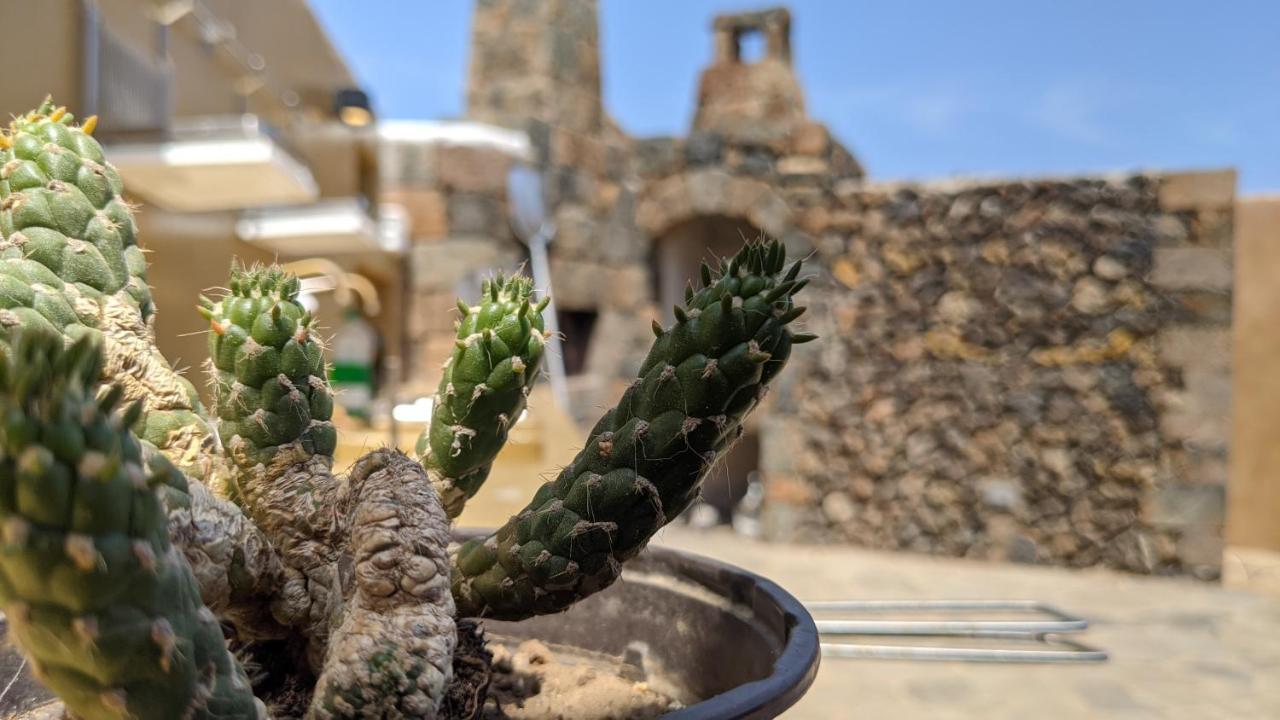 Campobello Horizon Pantelleria Bed & Breakfast エクステリア 写真