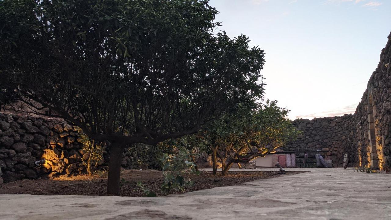 Campobello Horizon Pantelleria Bed & Breakfast エクステリア 写真