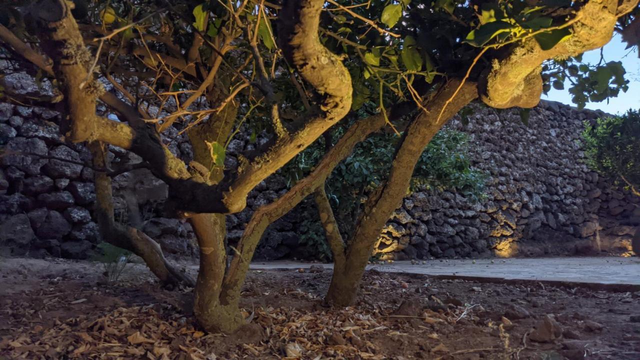 Campobello Horizon Pantelleria Bed & Breakfast エクステリア 写真