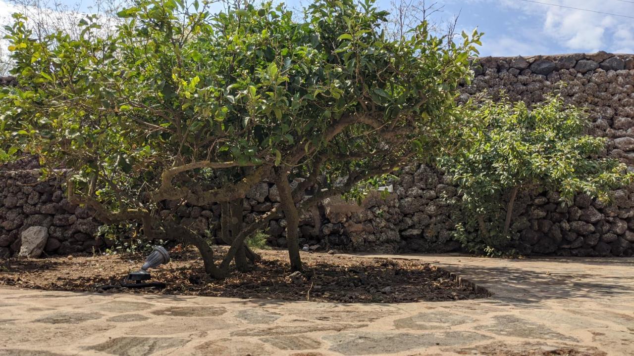 Campobello Horizon Pantelleria Bed & Breakfast エクステリア 写真